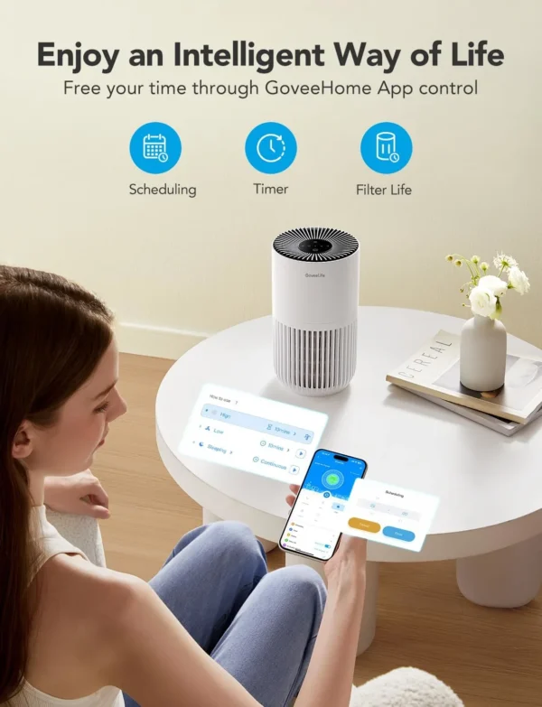 GoveeLife air purifier, Portable air purifier, Air purifier for smoke