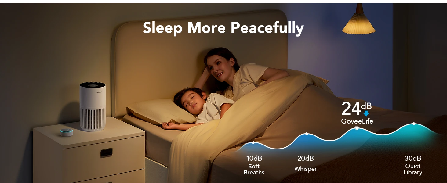 GoveeLife air purifier, Portable air purifier, Air purifier for smoke
