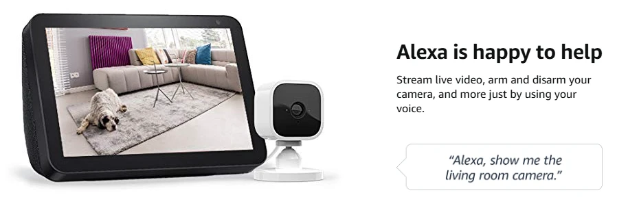 blink-mini-1080p-indoor-security-camera-motion-detection-alexa-2-pack